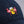 Mai Tai Embroidered Hat